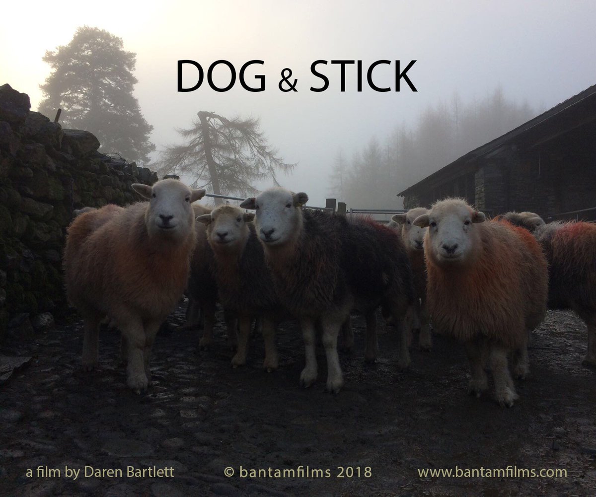 Read more about Daren Bartlett's forthcoming documentary film about shepherding in The Borrowdale Valley 'Dog &amp; Stick' here adogandastick-documentary.com #Cumbria #Borrowdale #shepherds #filmmaking #SheepDog #LakeDistrict