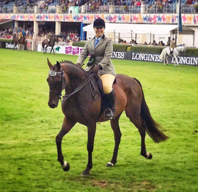 RoRlatest's tweet photo. Noble Prince, former winner of the Jewson Novice’s Chase ridden by @AP_McCoy @CheltenhamRaces is now enjoying his 2nd Career. #TheFestival https://t.co/pmJLDAQzKI
