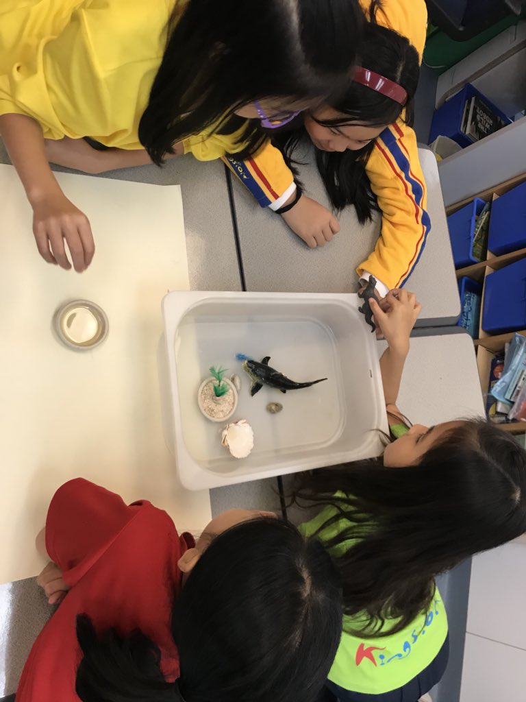 MsKellie_PYP's tweet photo. Ss inquired into the properties of oil to discuss the environmental ramifications of oil spills. Ss had to be innovative in the ways they separated and disposed of the oil from the spill zone, minimising environmental damage. #pypeducators #causation #responsibility https://t.co/XkiRT9gMy9