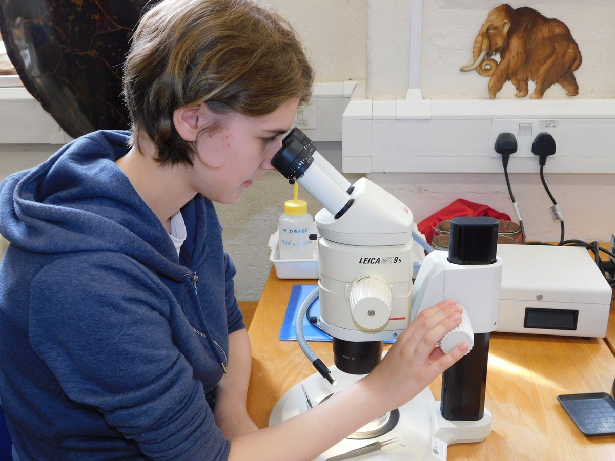 OAAwards's tweet photo. Try a #STEM #career for size! Apply until 23 March for a @scienceoxford @STEM_WOW summer #Apprenticeship placement, extended work experience for Y11 &amp; 12 students https://t.co/nNaHcWC2M6 #BSW18 #OAHour https://t.co/VzQUVhwFqn