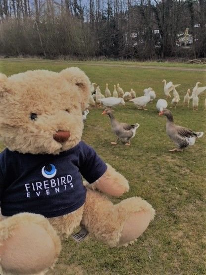 Firebird_Ted's tweet photo. @Firebird_Ted had a fab time joining in with Duck Herding @PennyhillPark To find out more about our country pursuit activities please click here https://t.co/5PwZ7WuCFu #teambuilding #fun #bonding #eventprofs #preferredsupplier #Surrey https://t.co/M0cpLlLPih
