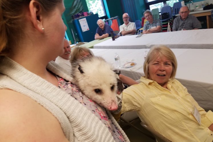 Alzheimer's Cafe is today from 2-4pm and we have a special guest! York Center for Wildlife will be here today with several animal ambassadors.