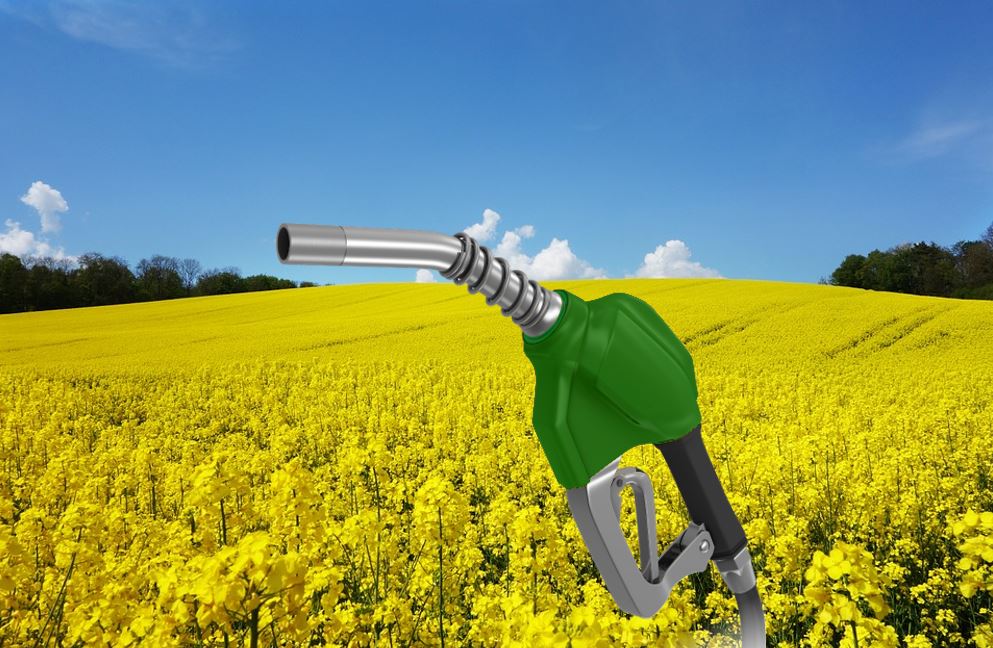 fncorpsgras's tweet photo. Remettre en cause la #filière #biodiesel #française, c’est rayer d’un trait de plume 1 000 000 d’hectares de #colza qui n’auront plus de débouchés. Une véritable hérésie #agronomique ! https://t.co/f06GGLodeF