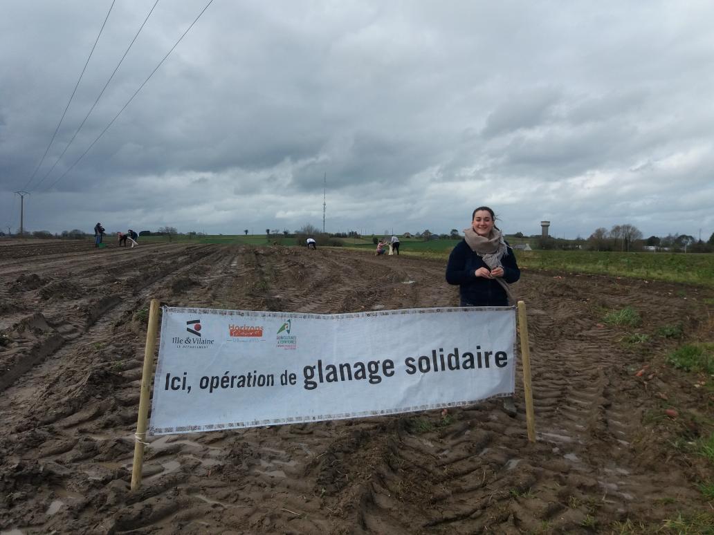 Solenne_gfy's tweet photo. Ça glane pour moi ... ouhouhouh 
(Surtout pour les associations d'aide alimentaires en fait ) @GlanageSolidair #foodwaste #Glanage #solidarité https://t.co/g1hYrWB2tk