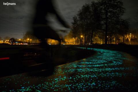 Lantarenpalen in het bos verstoren het wild, maar donkere fietspaden zijn onveilig. Zouden lichtgevende fietspaden een optie zijn? Lees de column van @AnsPereboom: zeistermagazine.nl/lichtgevendfie…