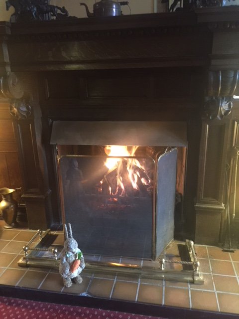 George Norton taking a break, Keeping toasty in front of our open log fire #cosy  #staysnuggly #hotellife check in tomorrow to find out his location