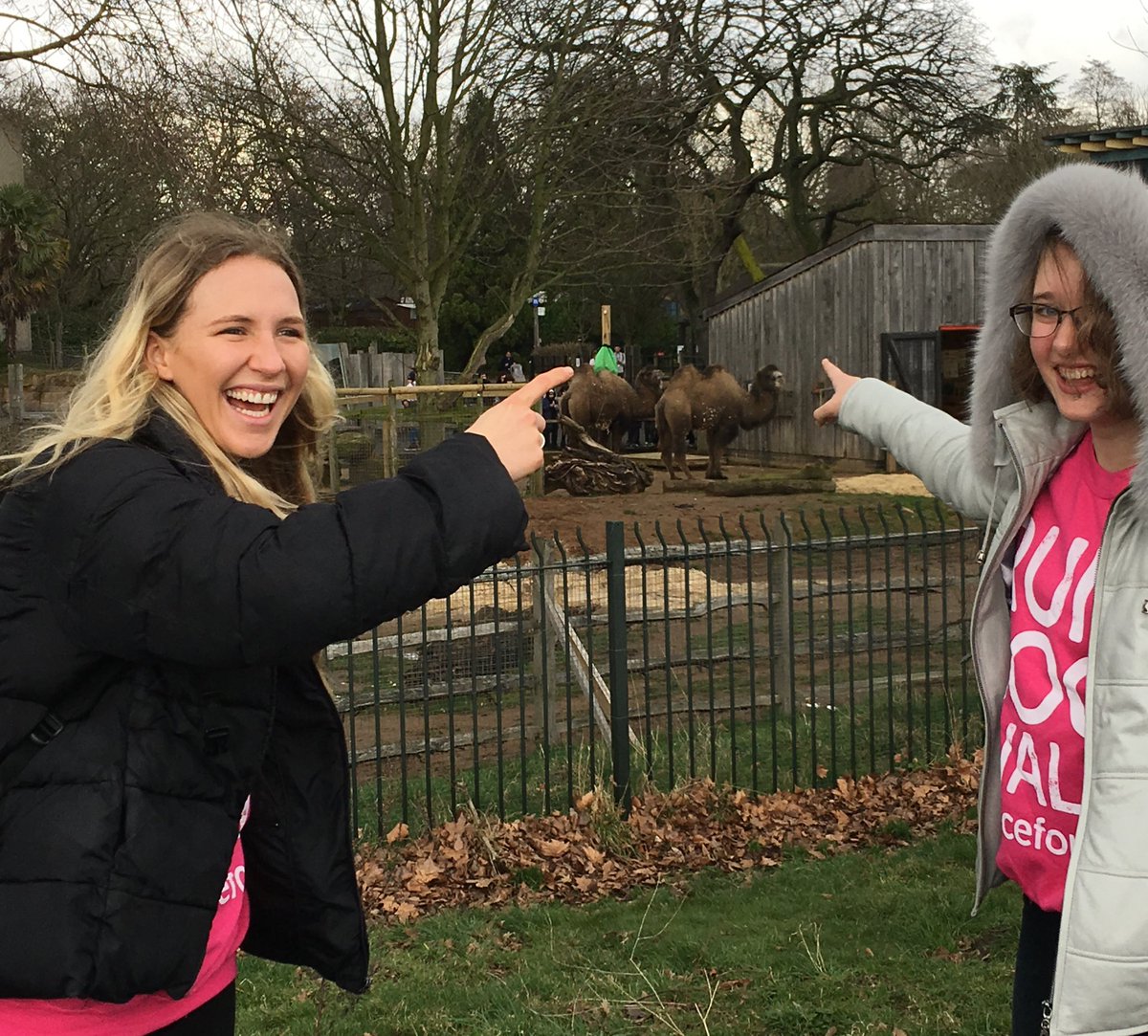 CRUK Events London (@crukeventsldn) on Twitter photo Check out the camels in your #raceforlife route in #regentspark on 26.5.18. Sign up #rightnow po.st/RfLLondon <a href="/theroyalparks/">The Royal Parks</a> @RPFoundation Check out the camels in your #raceforlife route in #regentspark on 26.5.18. Sign up #rightnow po.st/RfLLondon <a href="/theroyalparks/">The Royal Parks</a> @RPFoundation