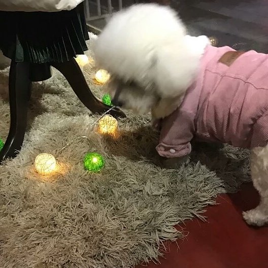 nbakilight's tweet image. #rattanball #ledstring #stringlights #ledfairystring #homedecorlighs #Akilight