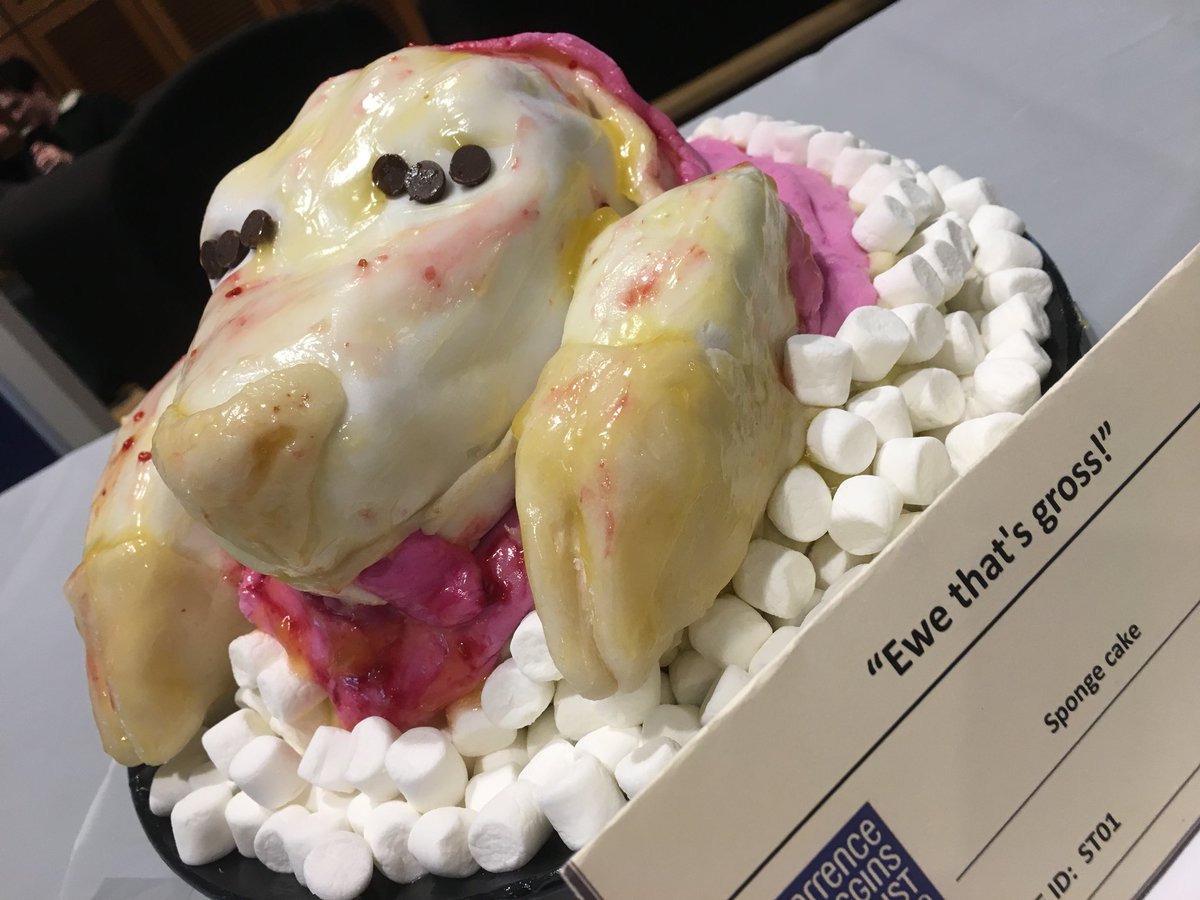 WenWapenaar's tweet photo. #SBCakeOff has got lots of beautiful cakes that make you think! https://t.co/1YHGxxQ1NL