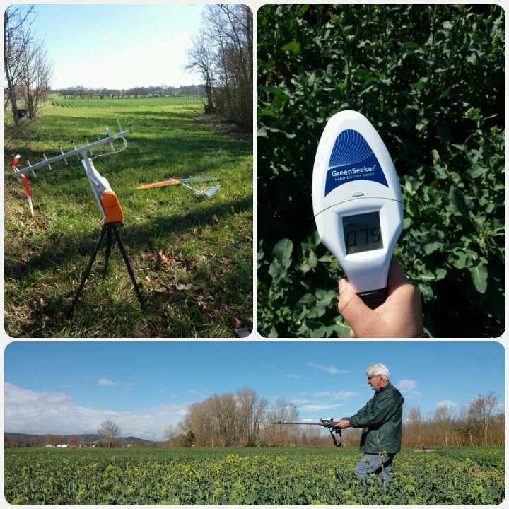 Julie_Malecot's tweet photo. On met au point pour vous des nouvelles méthodes de pilotage de la fertilisation azotée dans nos essais #colza #RésultatsEnCours https://t.co/kn0O2OC39g