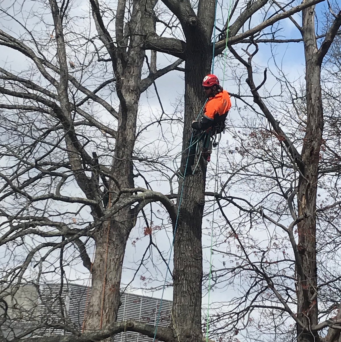 LandscapeMgmt's tweet photo. The National Collegiate Landscape Competition kicked off yesterday at Alamance Community College. Let us know if you’re there! #nalpnclc @the_nalp https://t.co/lKdzPVy4Sm