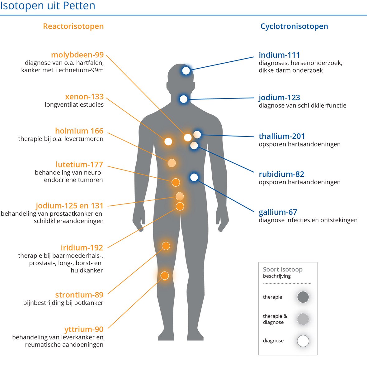 Minister Wiebes beantwoordt kamervragen en benadrukt onder meer dat #RIVM een stijging in de vraag naar therapeutische #isotopen verwacht. Deze isotopen kunnen alleen met een reactor worden geproduceerd. #30000perdag #Petten noordhollandsdagblad.nl/nieuws/ministe…