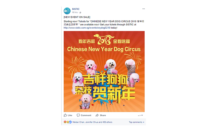 ThePetsDialogue's tweet photo. <In Case You Missed It> 
A poodle circus show that was cancelled due to citizens outcry! https://t.co/dDZsQezOwC 

#Singapore #poodle #poodles #DogFighting #DogRight #DogsAreFamily #dogparents #SGnews #SGRWhiteElephant #sgbreakingnews #rws #sistic https://t.co/RKE7YfExTN