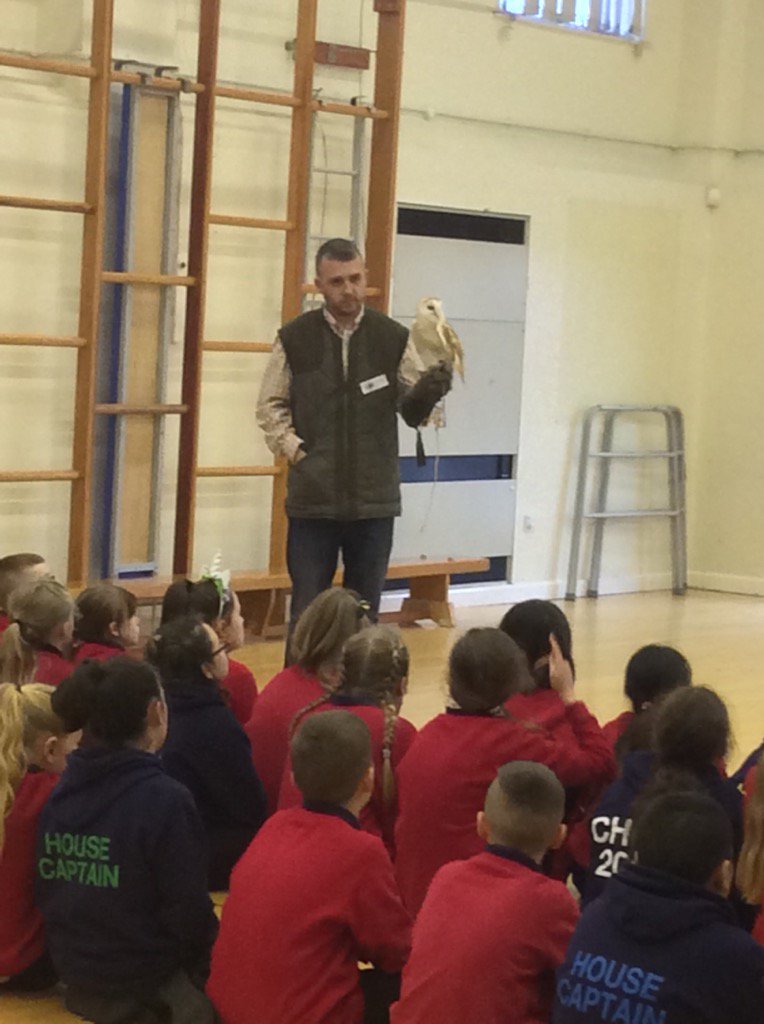 claresowa's tweet photo. @SMemorial Year 6 learning about beautiful birds of prey. https://t.co/SpZMzlh9CE
