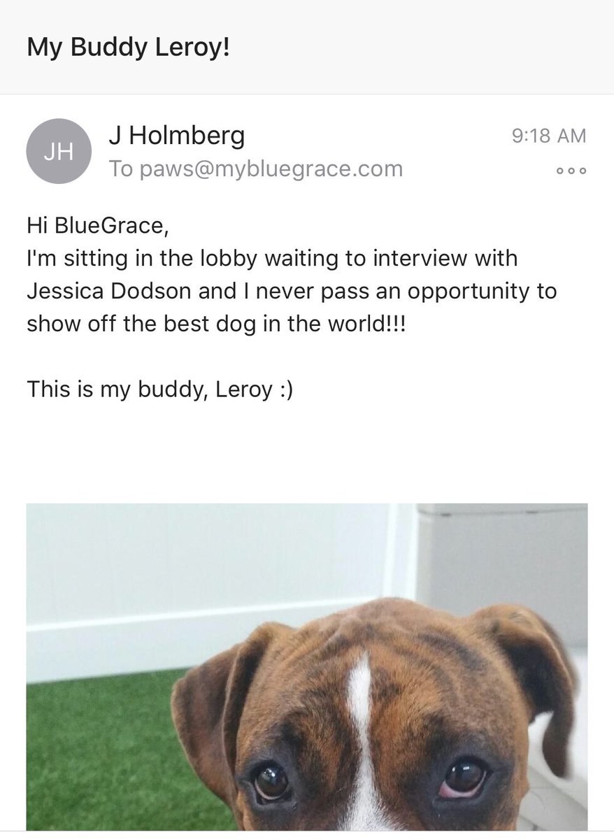 MyBlueGrace's tweet photo. When you’re waiting for your #interview &amp; you’ve clearly done your homework on the company... somebody hire this guy! @BGcareers #TheWayToOurHearts #AnimalLovers #PawsOfTheWeek #BGHires #SmartSimpleShipping https://t.co/8CDvaBG8mz