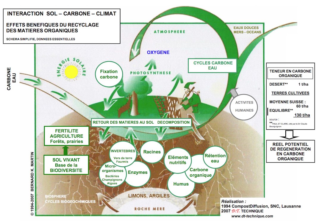 Bernardkmartin's tweet image. MINI GLOSSAIRE pour une vue globale « Interactions #Sol – #Humus – #Carbone - #Organismesdusol – #Fertilité – #Couvertvégétal – #Biodiversité – #Eau - #Energie – #Climat - #Désertification - #Migration »
Infos planethumus.com 
MINI GLOSSAIRE : agrihumus.com/mini-glossaire/