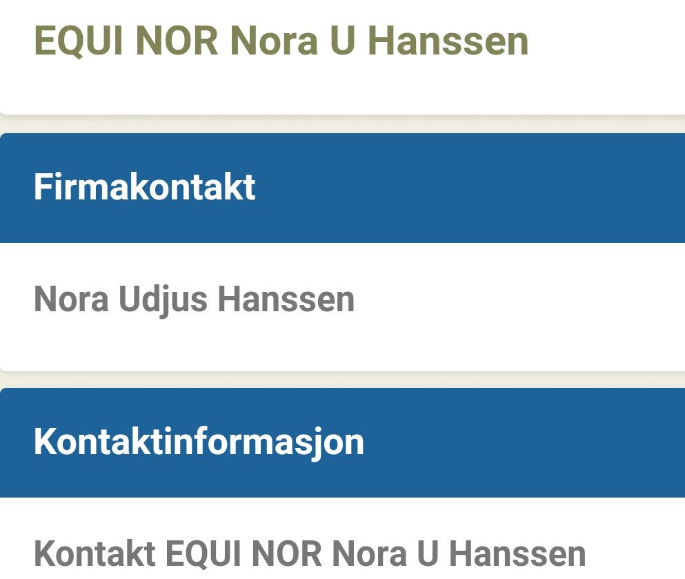 Hadde jeg bare visst i 2002 at jeg burde valgt å registrere enkeltpersonforetaket mitt som Equinor og ikke Equi Nor😱 💸