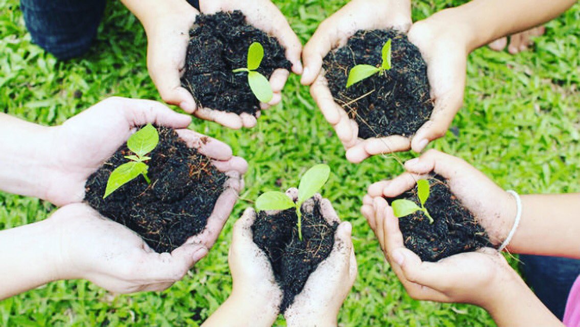 Raffles World Academy tweet media