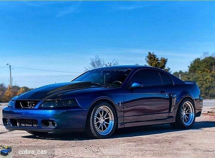ModdedMustang's tweet photo. https://t.co/ztBH1yGufq #mustang #mustangparts #mustangdepot #lasvegas
Regrann from @cobra_cas  -  @devoteesofficial #devoteesofficial #ford #mustang #svt https://t.co/ReJSTc6s9L