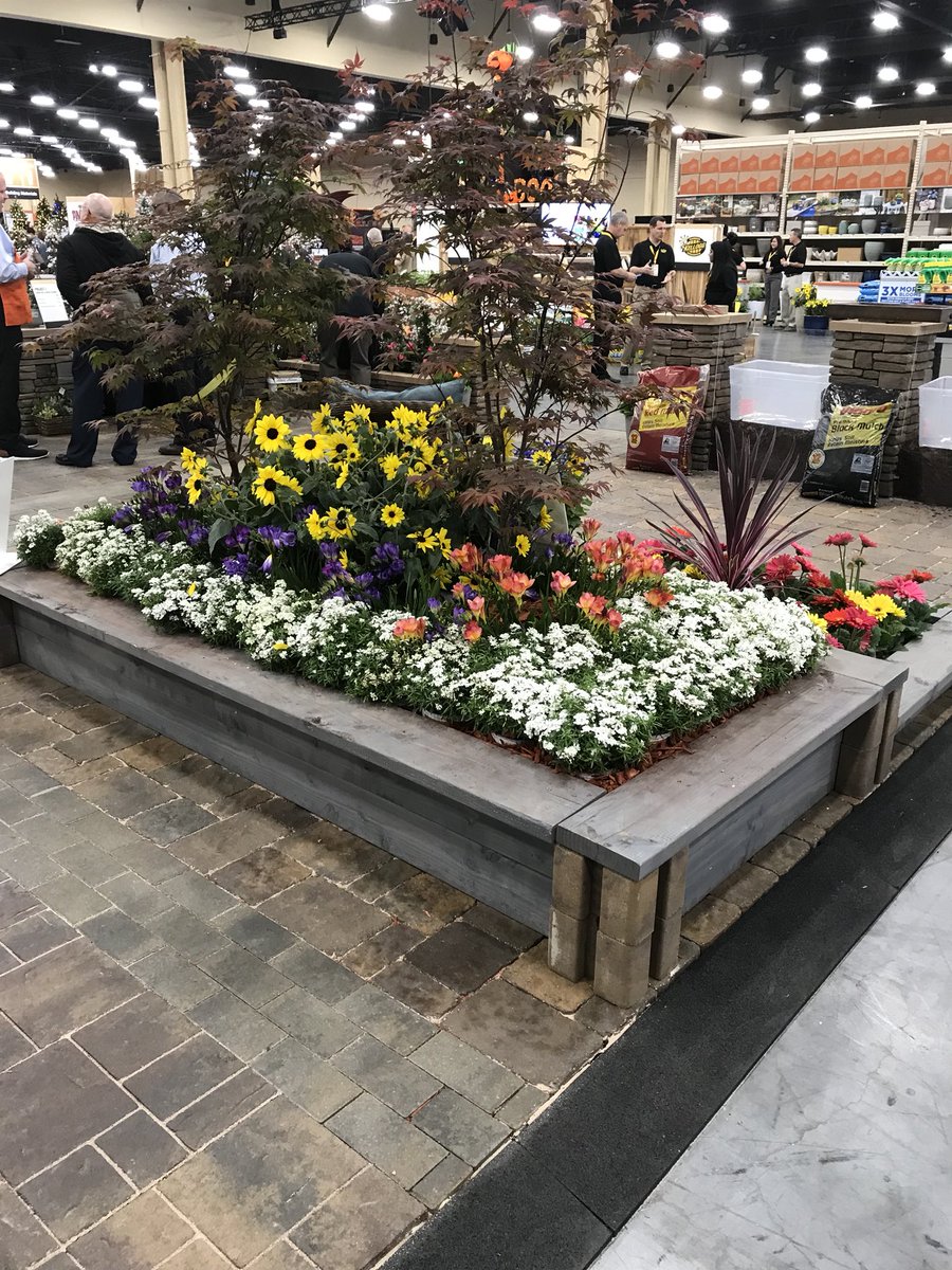 Will Brumit tweet media