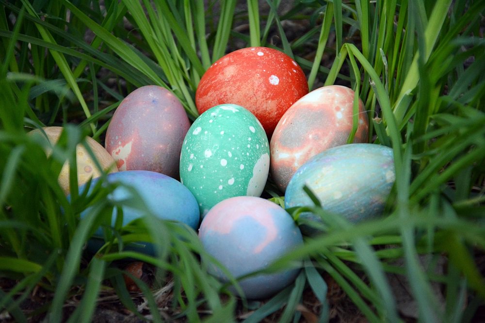 HelloMagSA's tweet photo. We take our chocolate (and by that token our Easter egg) eating very seriously. We checked out some of the best Easter choccies in South Africa - thanks to @kulula  🍫🐣 https://t.co/iIX5a6JMfC https://t.co/jq4gCKqB8R