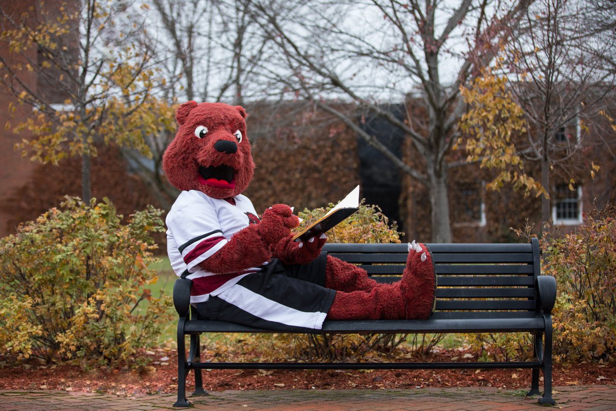 sunypotsdam1816's tweet photo. Help a Bear out... Vote for @MaxCBear in #MascotMadness! Click here, scroll to Region 3 &amp; do the same thing tomorrow to help us close strong! 🐻❤️✔️

https://t.co/rIx8yWX94n https://t.co/jL1gxHWslX