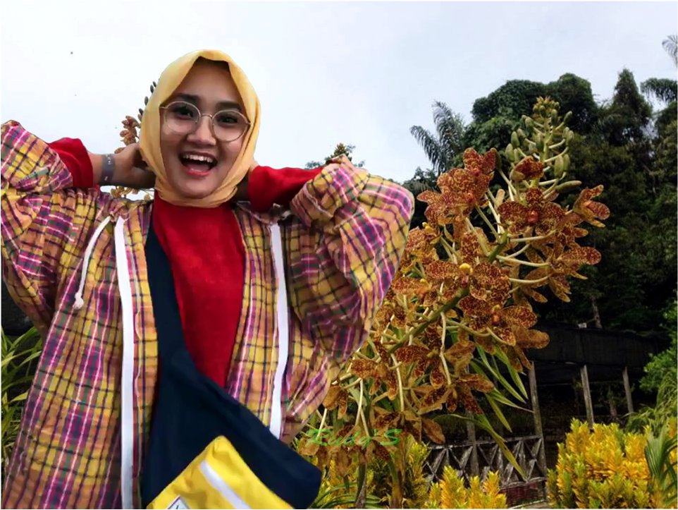 Orchid Forest 😊 <a href="/FatinSL/">Fatin Shidqia Lubis</a> foto bareng Anggrek Tebu 😍 Anggreknya 5 thn sekali baru berbunga 😃 @AufahA  @waff_al <a href="/FatinisticYusni/">Yusni</a> <a href="/matSL_/">matSL</a> <a href="/SubonoAW/">Subono Andi Wibowo</a> <a href="/jumidina/">my fayo 4ever</a> <a href="/AlyaDavinci/">𝐒𝐮𝐥𝐢𝐰𝐚ᯓ★🌌</a> <a href="/Lyanie16/">Lyanie</a> @MiraFatinistic <a href="/mi_umik/">Umi kalsum</a> <a href="/aliya_er172/">rohmatul aliya</a> <a href="/Yunipati4/">Yunipati</a> <a href="/m_abichafas/">M.abichafas</a> <a href="/bee_afra/">afra</a> <a href="/hany2297/">Hany Seftiyana</a> <a href="/Fatinistic/">Fatinistic OFFICIAL</a>