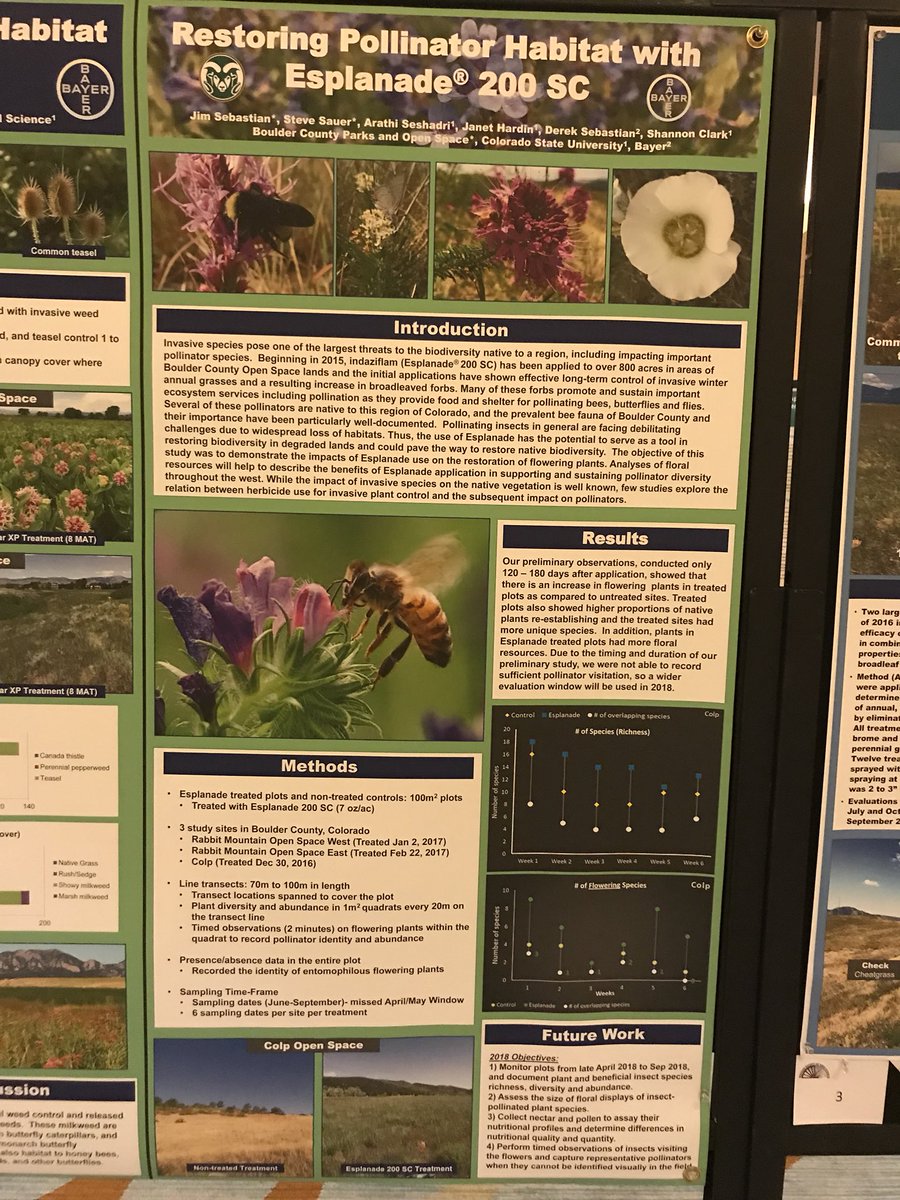DerekJSebastian's tweet photo. Excellent @WSWeedSci meeting this year!  Full of great talks and posters. https://t.co/rrLrYs8xUH
