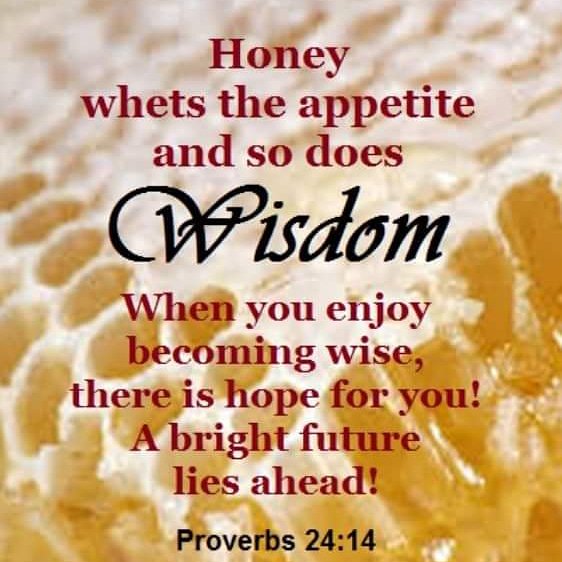 Yolanda_C_Scott's tweet photo. Desire WISDOM and run after KNOWLEDGE for this is the way!!!!
#Chosentribe
#FromtheProphetsCorner https://t.co/gg0bbrKiZa