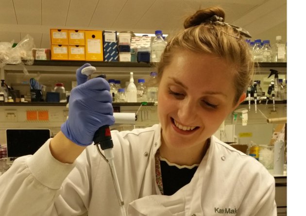 GMSLAW's tweet photo. University of East Anglia research may help defeat breast cancer by 2050 https://t.co/NsLCrMhtZu https://t.co/UysokDY8cl