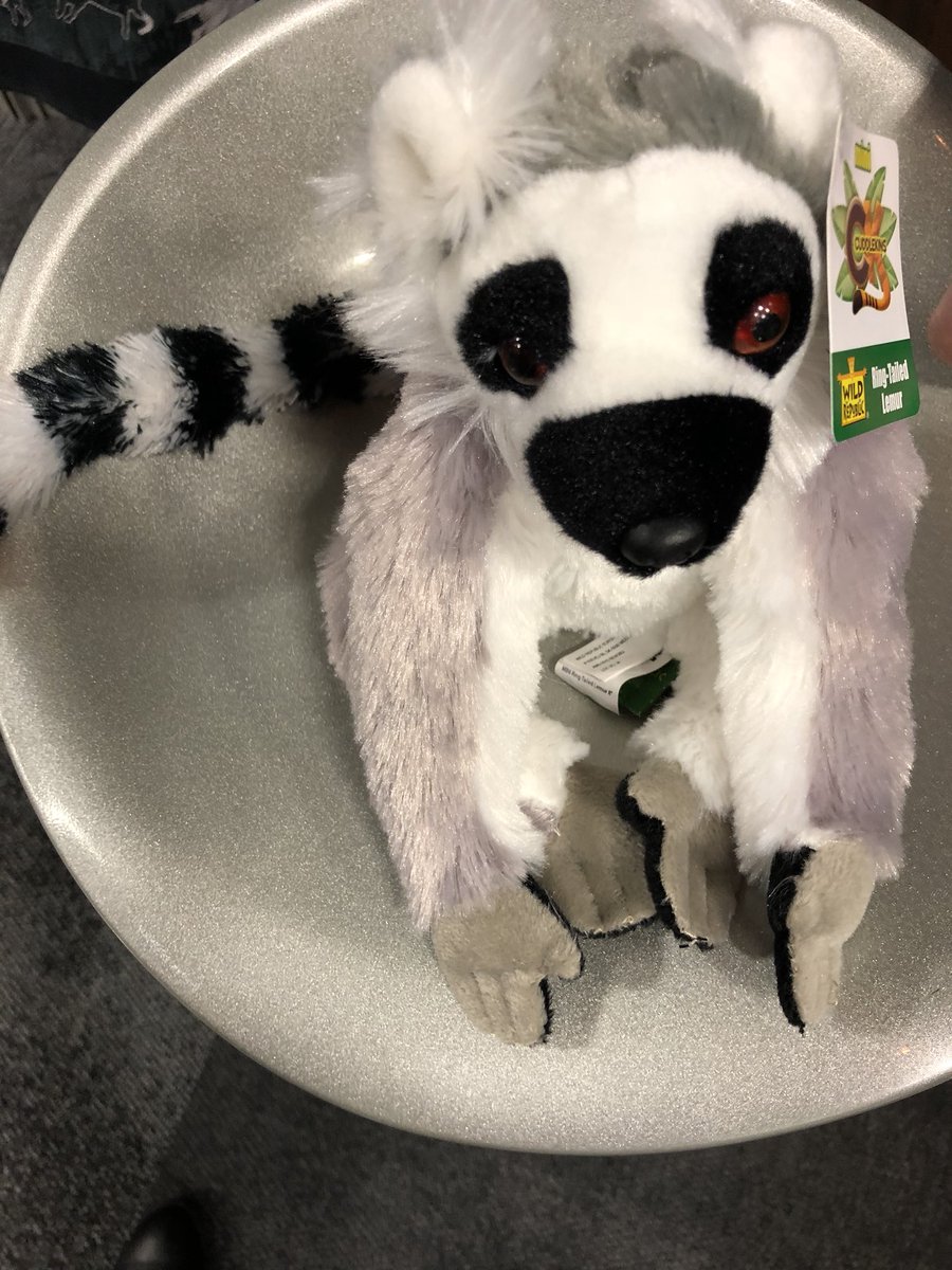 We have  adopted a new friend thanks to <a href="/TLSBocaSystems/">TLS - Boca Systems</a> #TPC2018