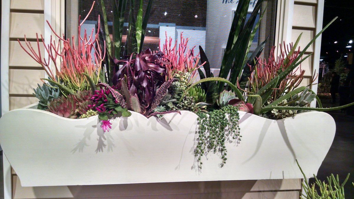 finegardening's tweet photo. Pictures from the #BostonFlowerShow! Go say hi to our editors at the Fine Gardening booth, and get a free magazine. @bosflowershow https://t.co/fHxsNpEla1