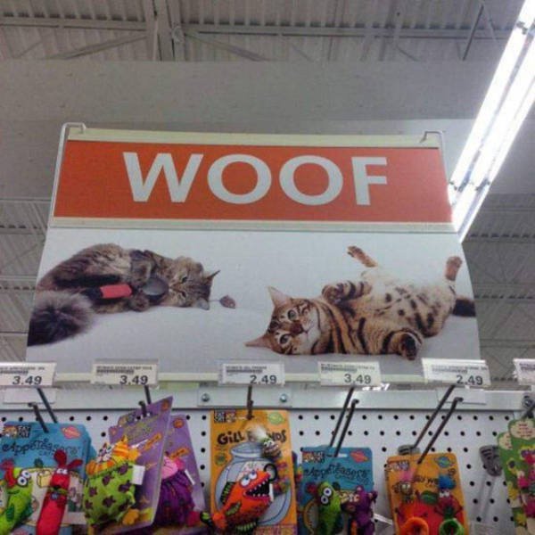 pizzaelsa's tweet photo. @MeikoRiviera last time I checked cats say meow not woof https://t.co/j0RyzOccbm https://t.co/gHB5ZPWANF