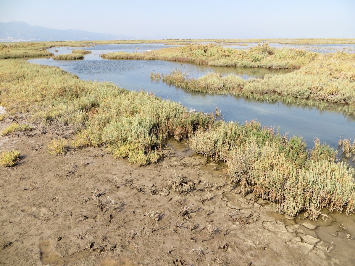 For our March-April issue, we turn our attention to anthropologists' engagement with water--with water words, water flows, water rights, and water insecurity. ow.ly/FdaD30iX0O6