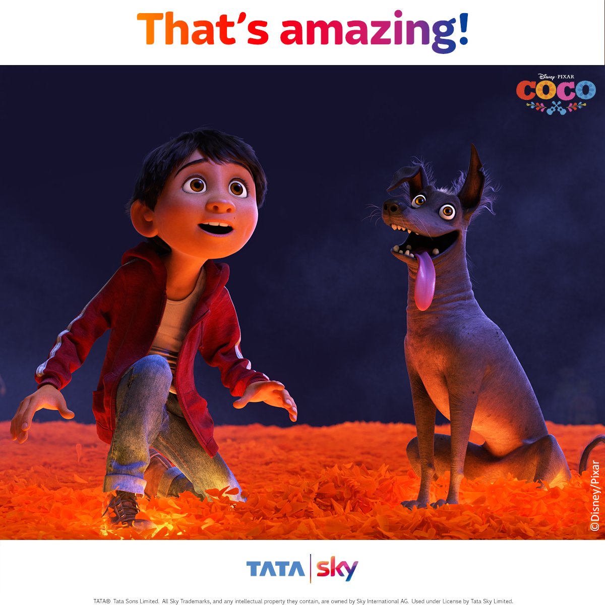 TataPlayin's tweet photo. @RAJESHK23708805 That’s amazing! Don't forget to tag your friends and follow us on our social pages to win. #SingWithCoco https://t.co/D61l1cXIKV