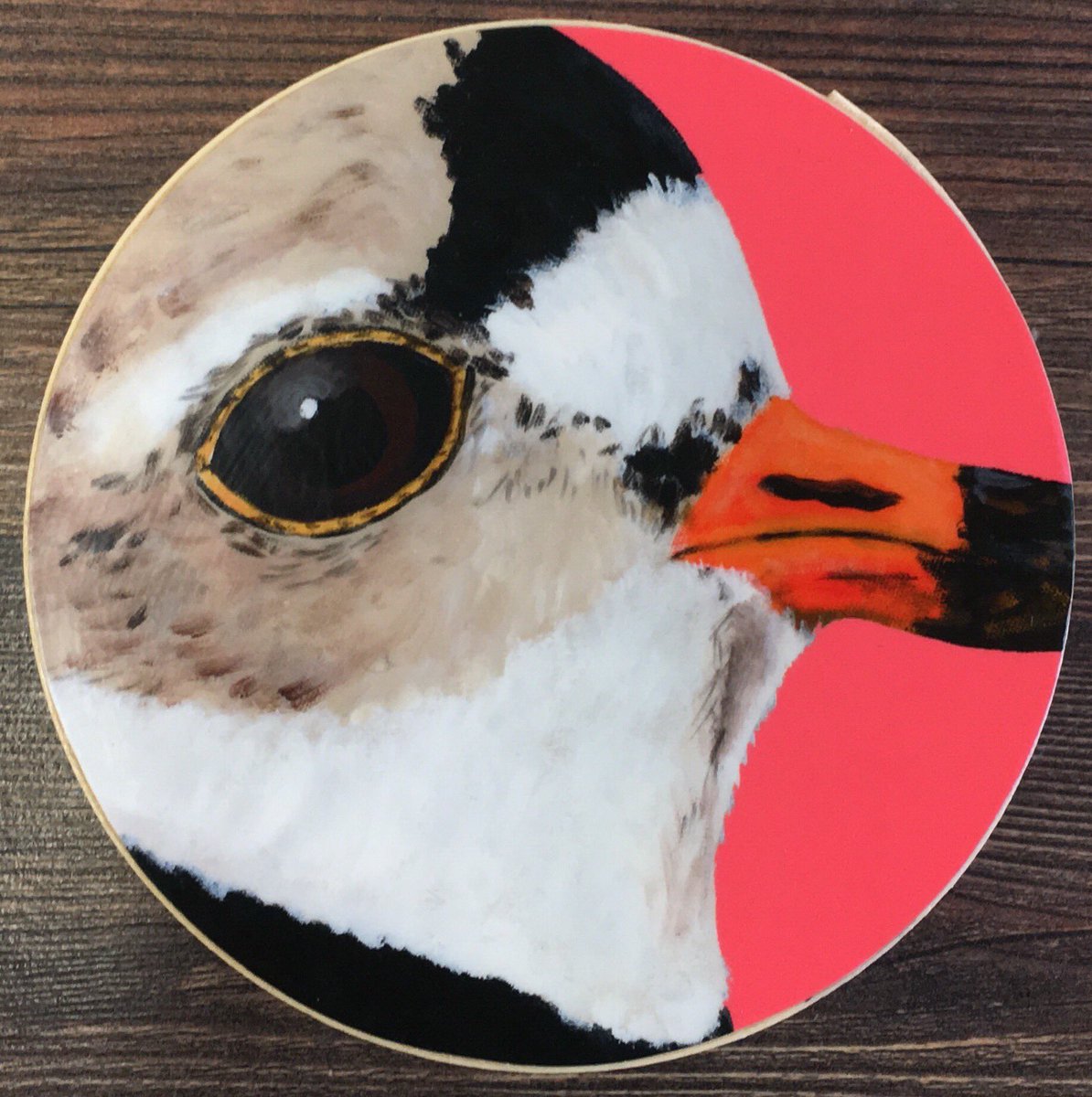 Une petite surprise reçue de deux artistes aux Îles. Merci Zanimo. facebook.com/societedeconse…