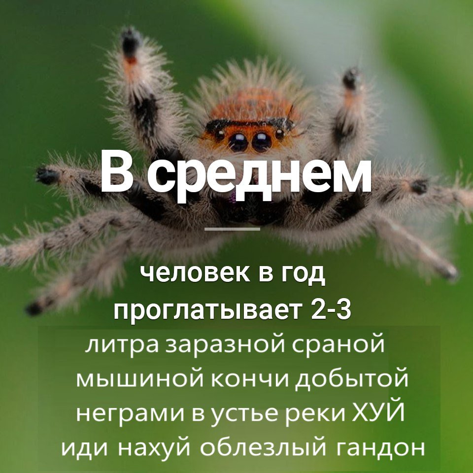 DYVkA9bW0AENY9z.jpg
