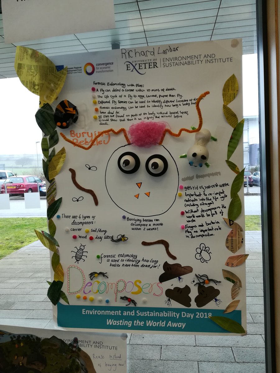 Beth_Roberts13's tweet photo. Taught some amazing Year 10 students about invertebrate decomposers today. Here's their poster all about it!! #outreach #science #superproud @UniofExeterESI @BeesatExeter @UniExeCornwall https://t.co/gLaSXssMgY
