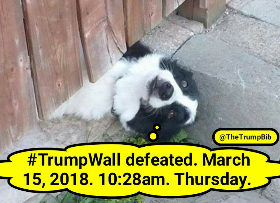 Mission accomplished. #OperationTrumpWall @jidk1187 <a href="/Nadia05150/">Nadia</a>