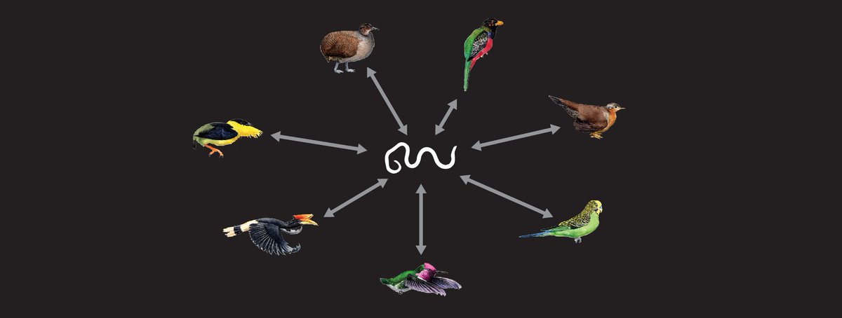 alexander_suh's tweet photo. Do you like genomics, parasitic #nematodes, #transposons, and #viruses? Come join my lab on a 2-year postdoc position https://t.co/imp5V9Rm2v Please RT! https://t.co/yIgdpYgt7J