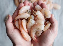 ALSeafood's tweet photo. Our March newsletter has arrived! Catch up on all the latest news and notes from the world of #ALSeafood. https://t.co/vfe65dtSlX https://t.co/tVQYtD2UEx
