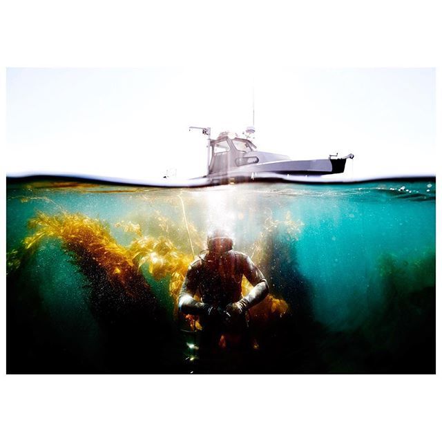 There is nothing more inspiring to me than someone who is fully invested in their craft. Urchin Divers are all in. Link to full story with @boatmagazine in my bio. ift.tt/2FCJeVd