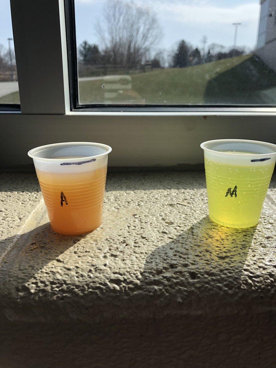 becky7274's tweet image. Today’s 24 hour update on the apple juice / Mountain Dew experiment! #4thScience @etownSTEM @etownPAschools