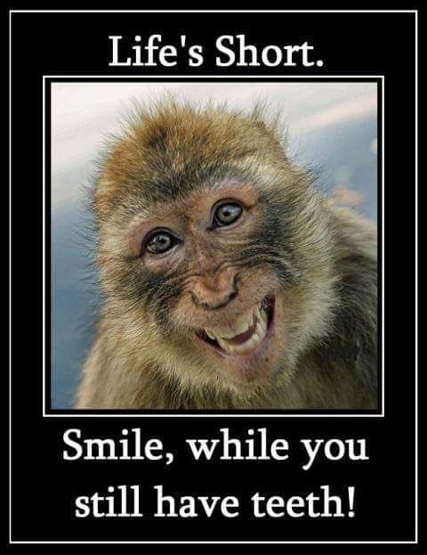 SienaDentalLV's tweet photo. Good Advice! https://t.co/wTDEt5V5eE
