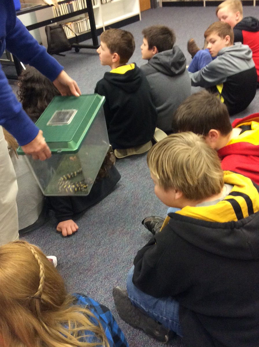 Mrs_Sheahan_'s tweet photo. Thank younkansas city zoo for bringing animals for us to see! #esmsbestyearever #essdexcels https://t.co/DRix5NSo8K