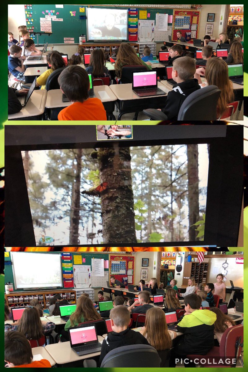 Margie Maglosky tweet media