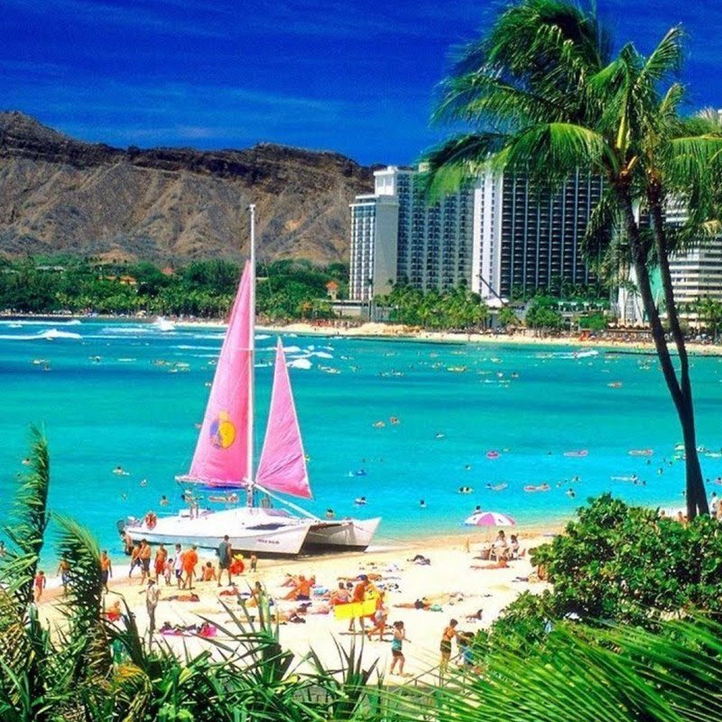 buscoaereos's tweet photo. Vuelos a Hawai y Tokio por ARS 26.262 saliendo desde Buenos Aires (EZE) #Buenjueves https://t.co/04FhajjmtR https://t.co/s5U10fBH4C