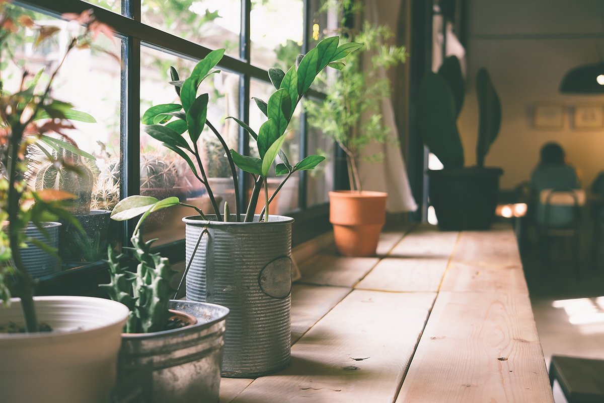 10 ways to spruce up your property this spring ow.ly/pAfz30ix22s