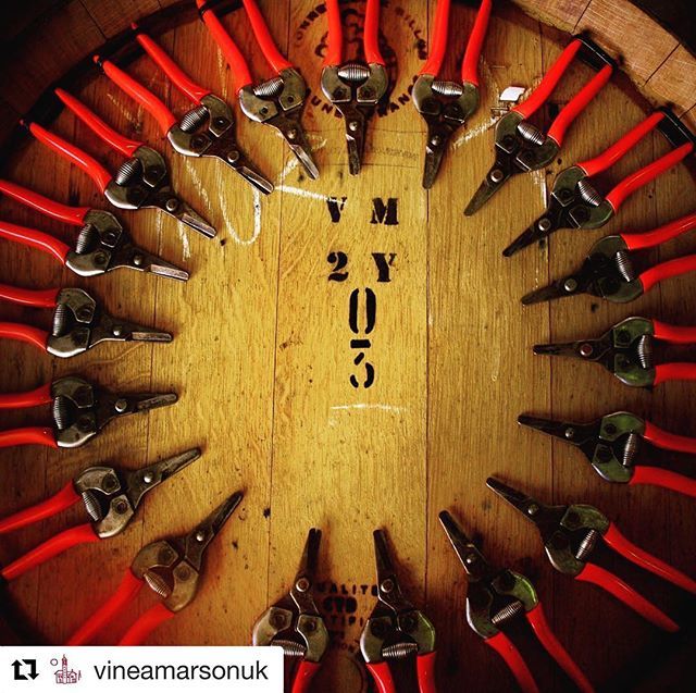 benaustinwine's tweet photo. #repost @vineamarsonuk An amazing artisan winery from Australia 🇦🇺 about to hit the UK! Please give them a follow 😃
. . . 
The 2018 vintage has begun and we can’t wait to see the results!
.
.
.
#wine #wineaustralia #victoria #heathcote #artisanal #in… https://t.co/nGcP1lYyge https://t.co/EL3b0FwNWI