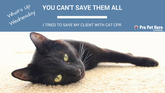 ProPetHero's tweet photo. You can't save them all. While life-saving efforts may prove fruitless never forget the power of touch #catCPR https://t.co/vQc8veW3Ci https://t.co/66Mvc5m7k1